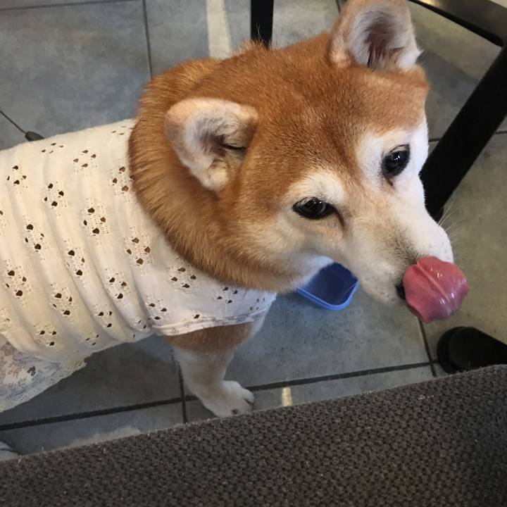 03a8af03 68b7 443c a947 58db1141e9fb