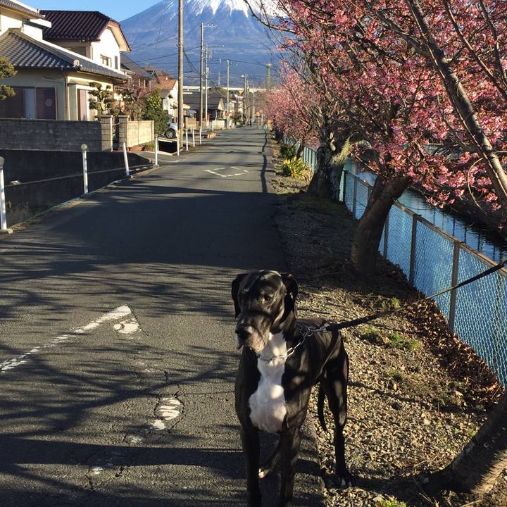 03a93e9f ad3e 4bc6 b6cd 79f983e79e56