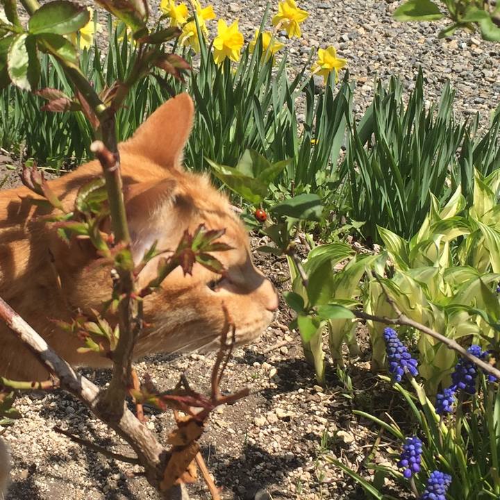 03aa0889 3b74 4fba af84 52c560621183