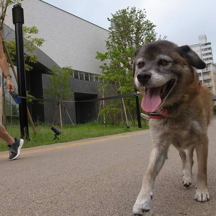 03aa0954 9e44 4717 a715 4033decc8d37