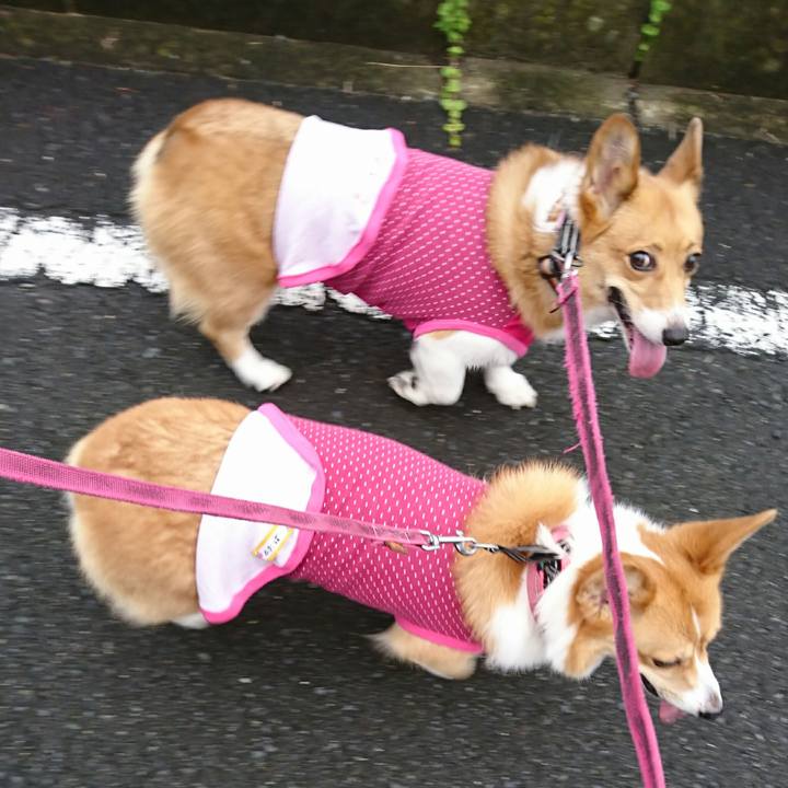 03aa2d3c 4834 45da a25f f12c994e5a7c