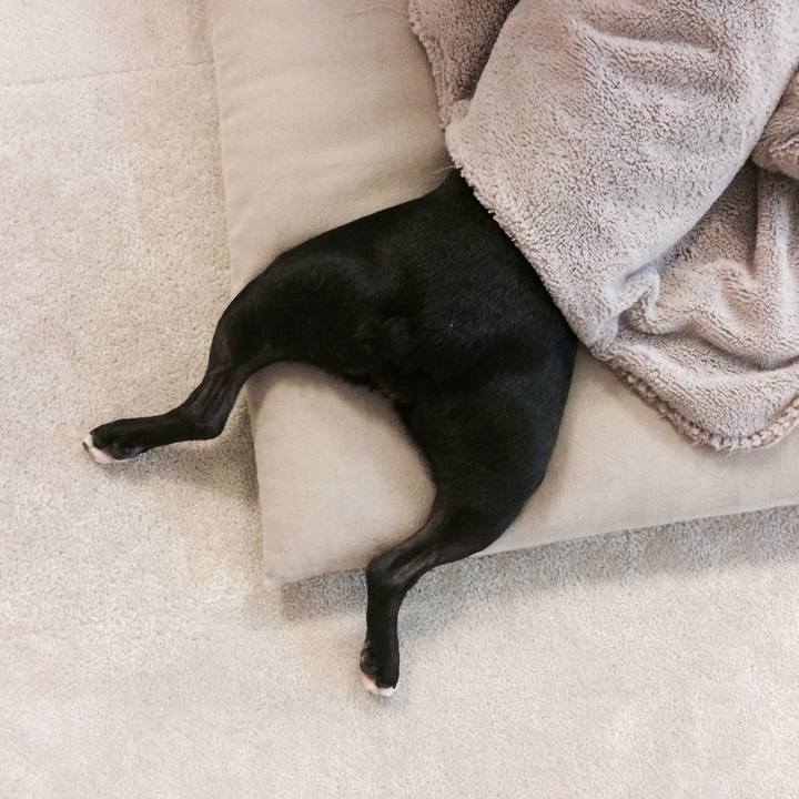 03aa7c98 d01e 4046 ac42 962f90c1aa21