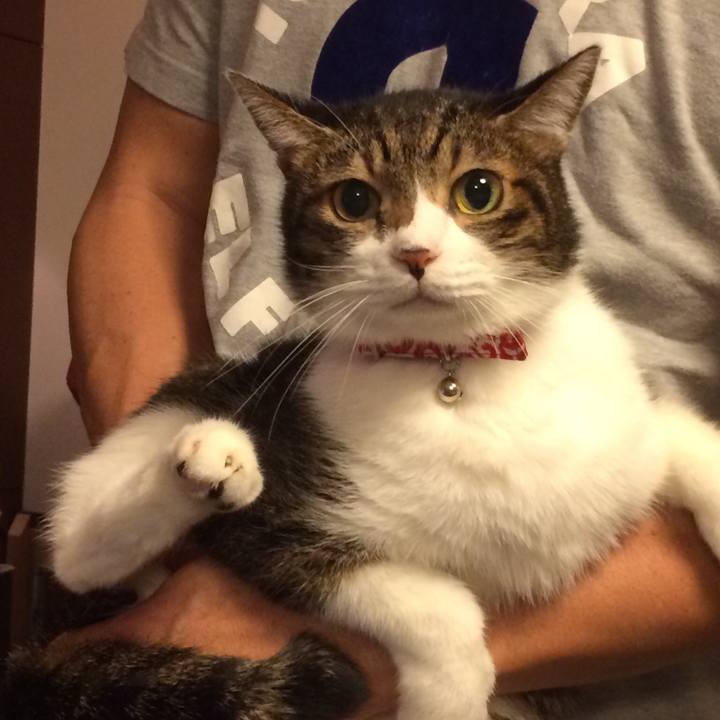 03aac0dd 26f2 44e3 acb1 6b8ba9714f95