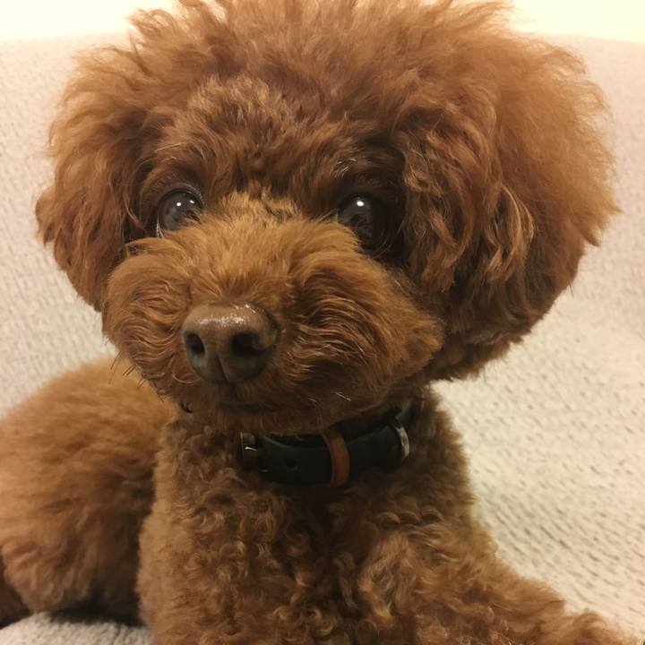 03ab62e3 c5a9 41ea bea2 16b785f4a39d