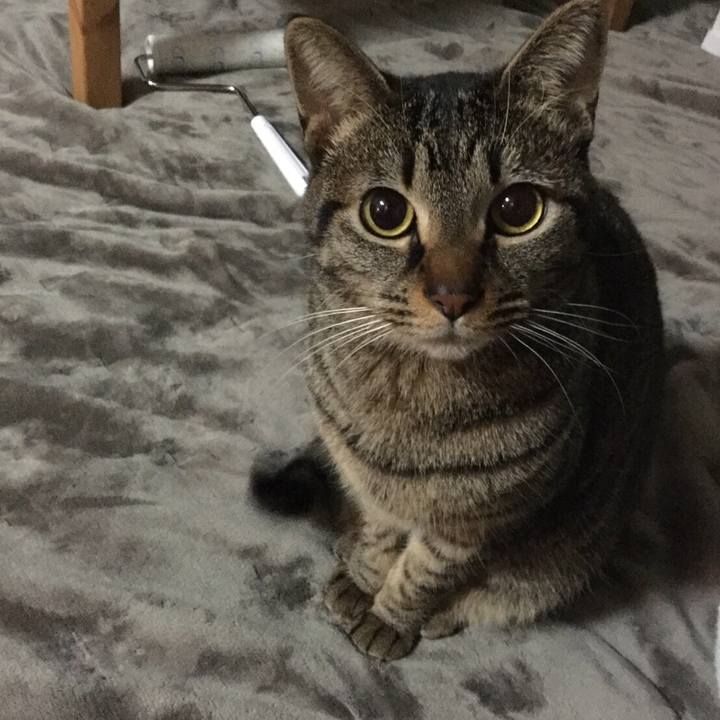 03ab85eb 8d31 4a18 8198 691c5e376380