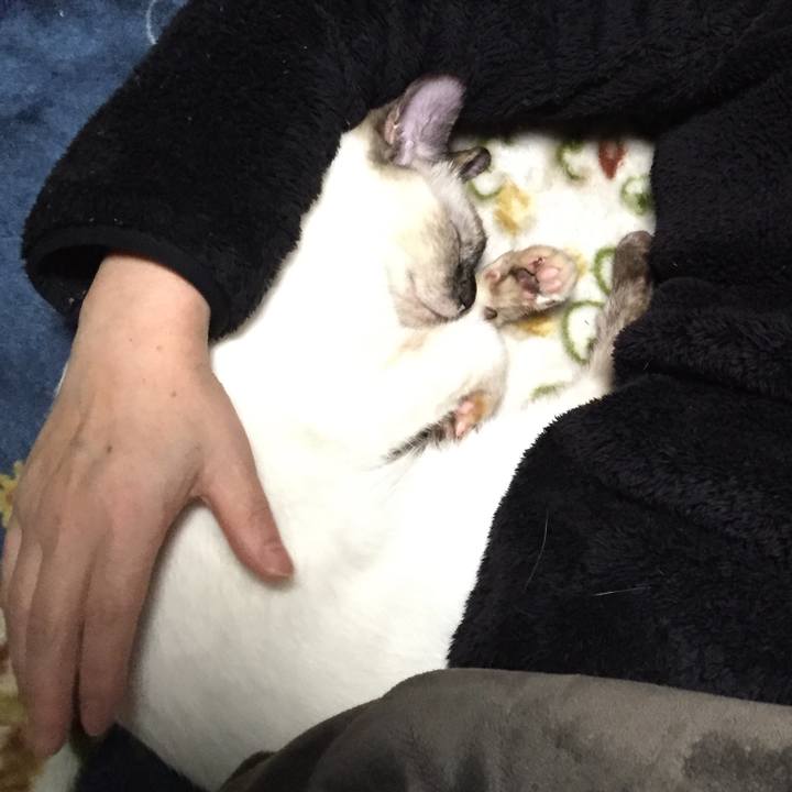 03ac11db 48ba 45ef ac0b 58a02eba4105