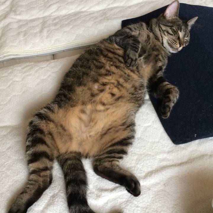 03acabb0 4cb5 4a5f a737 18cbad4b7295