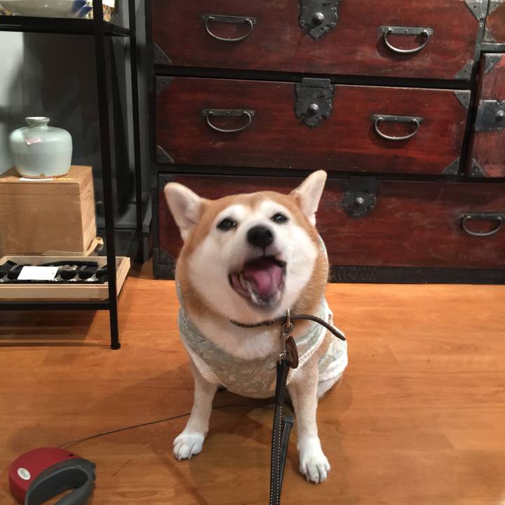 03acc8ab f840 444f 9839 38819795a822