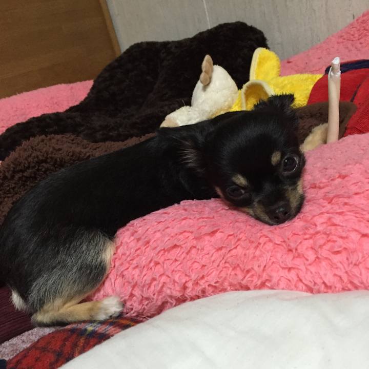 03aea24d 6aa3 43f3 921b f072674b2cb2