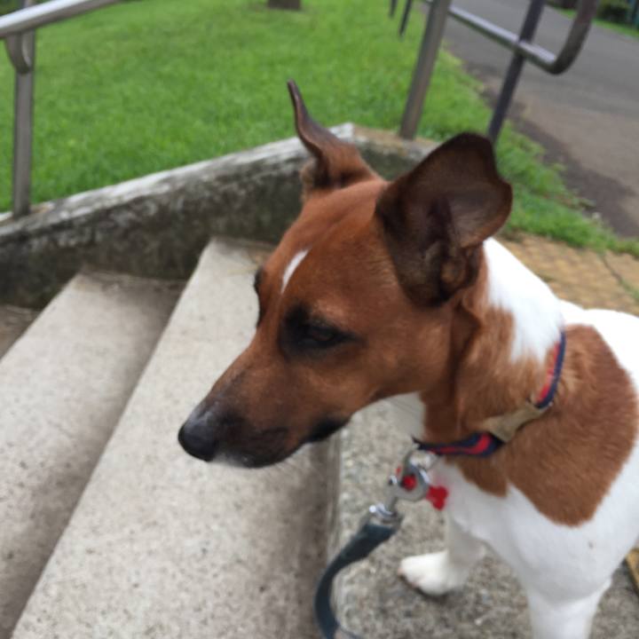 03aef2ab 82c0 4125 9cec a69bed6cd5ba