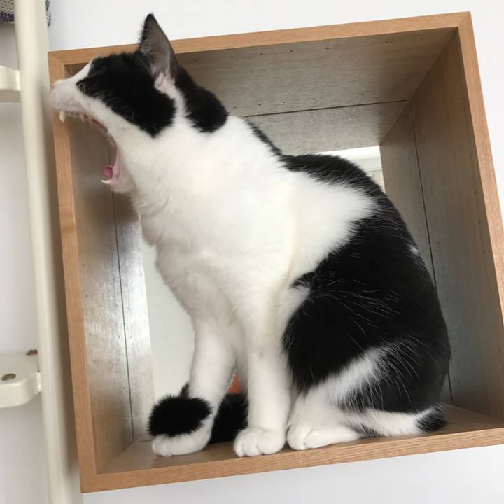 03aefb72 a620 46c1 a515 eb9bb07aacac