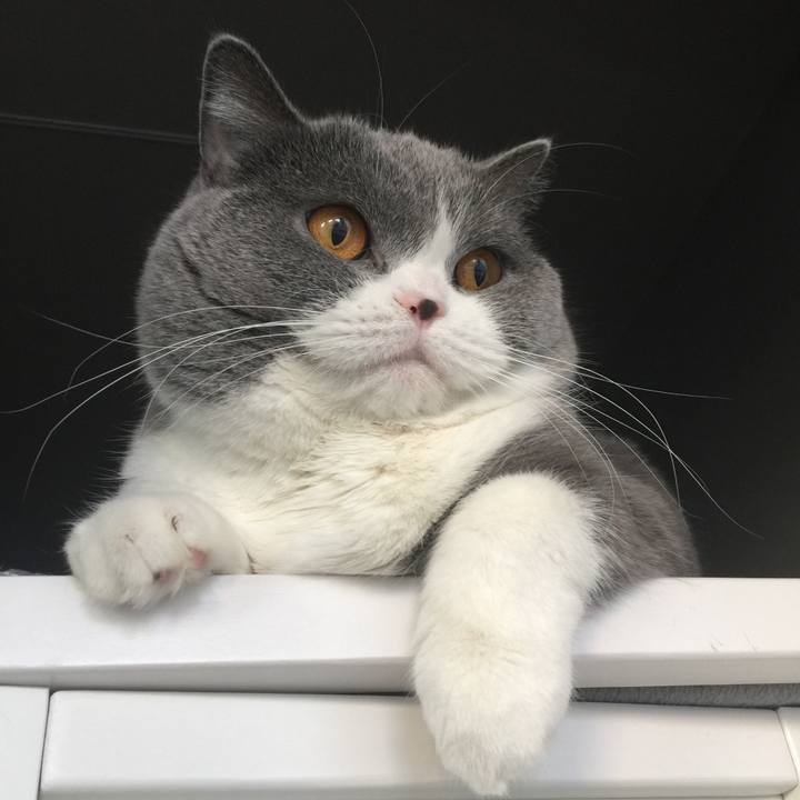 03afe0cf 8332 4c79 8ad3 97120931b090