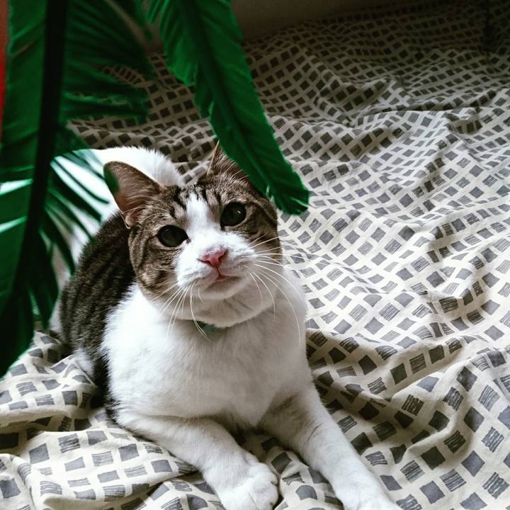 03b04842 0866 4869 8f29 ccb0478313f3