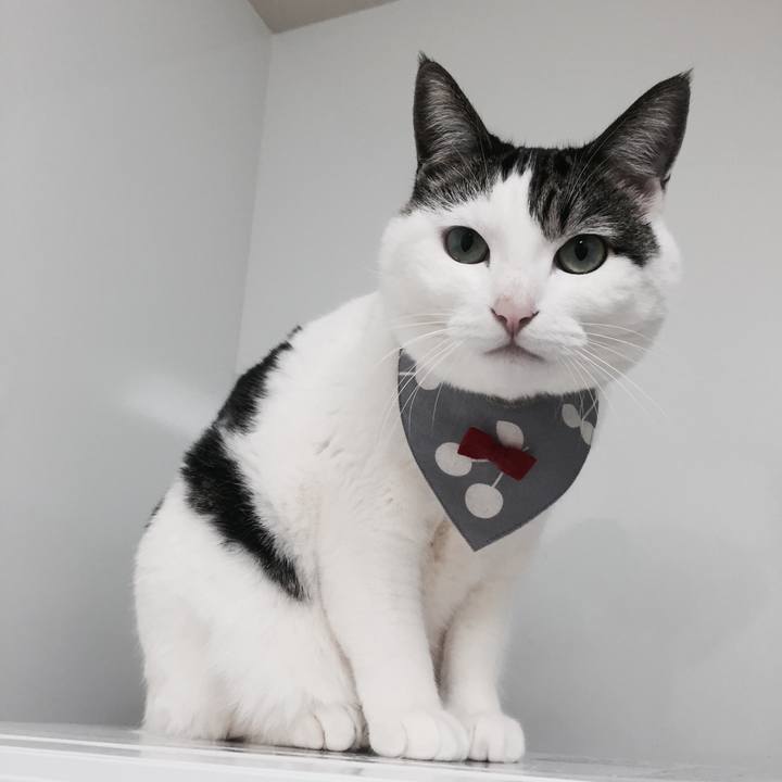 03b07f54 16dc 4a6a a50f fbf10aff0b0d