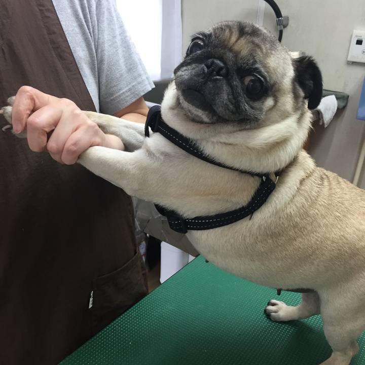 03b197d1 79a6 4f89 96a0 f4f804954839