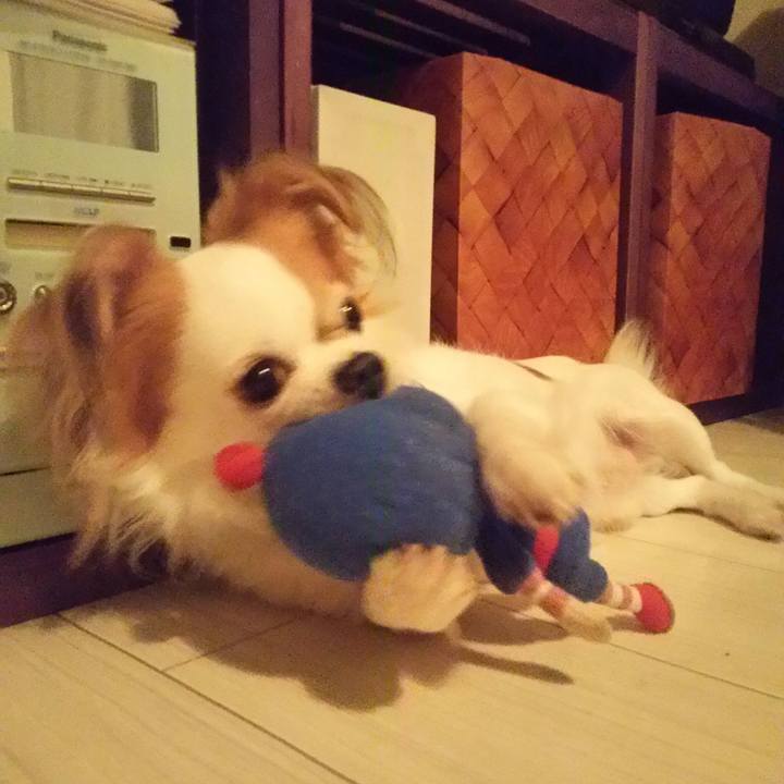 03b1c277 06f6 40bd a290 9ff757e50f47