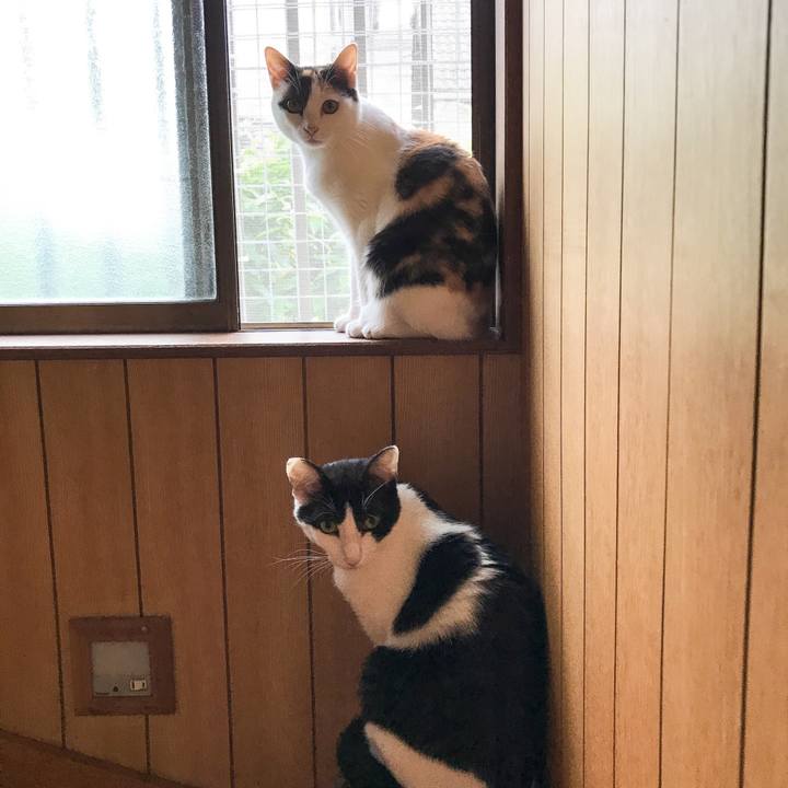 03b3a800 883f 403a 9dbf 03c2280f182c