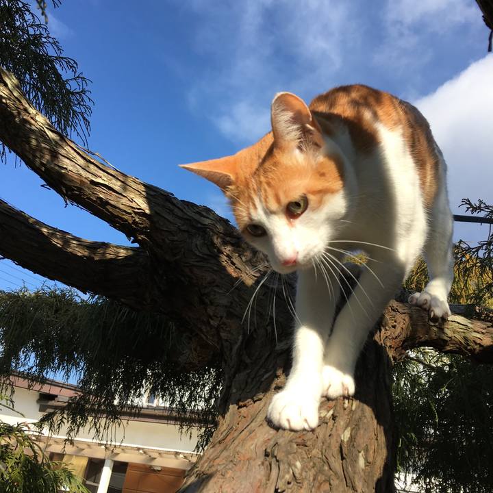 03b3eaa8 cb45 4ac9 aee8 46c25b57f8a8