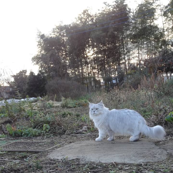 03b40013 964d 4a22 8178 94a3b6d653f1