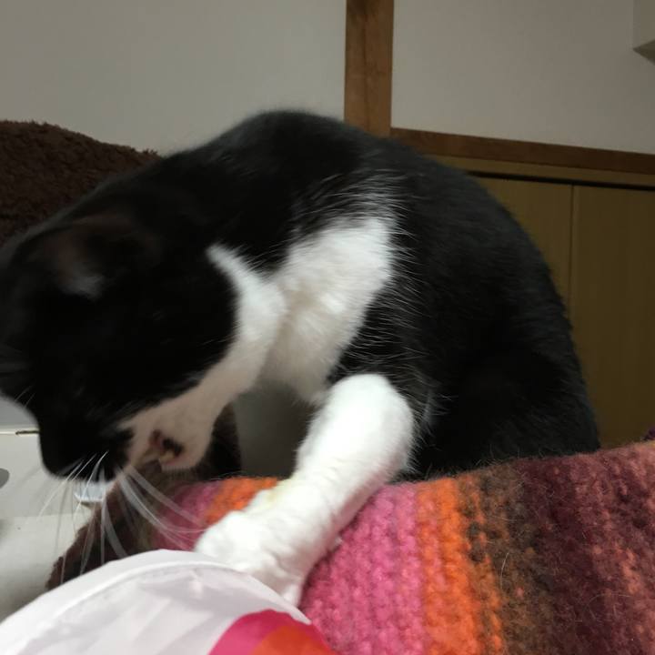 03b5cbab 36bb 4fd0 b8ca 12ed46dc0bc6