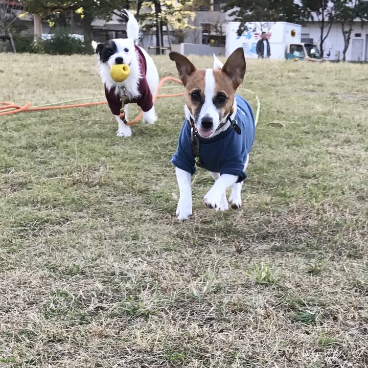 03b5fe7c 2948 40b0 8186 f5697f81db54