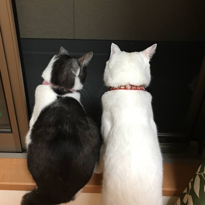 03b60d1c b0d7 4212 9fe1 b0c471191b0e