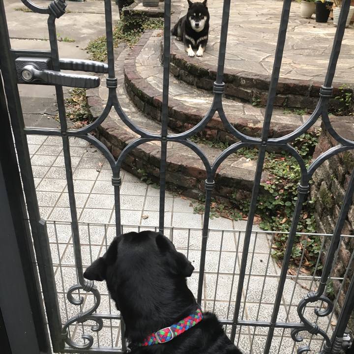 03b65056 95d4 4f07 a3d2 1ca5ce927942