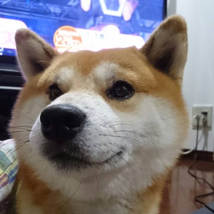 03b70e45 2ccc 43ea a3b5 cf8dce2b7c9d