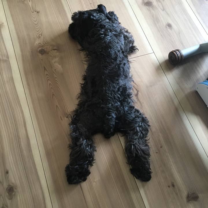 03b8819e 6f9e 4ca5 aa58 3ae30cebc7f9