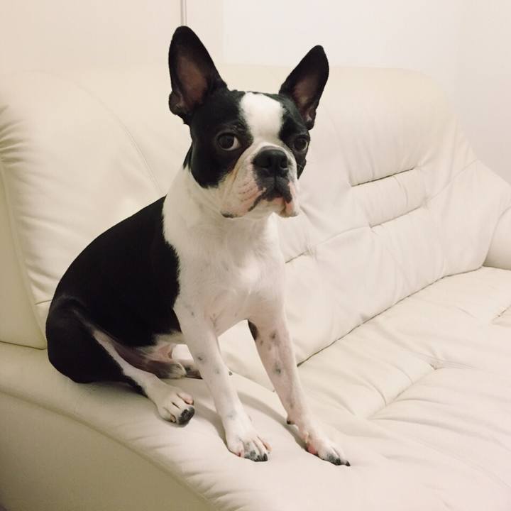 03b8c1cc c1e8 4cf0 959e dfff13e374b2