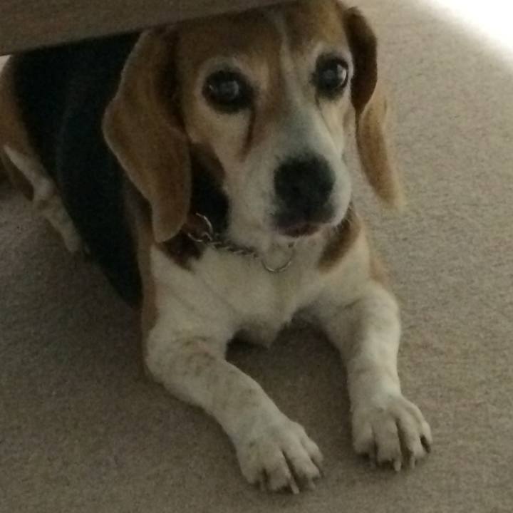 03b98e8c b33d 4302 96b7 9a370be7b302