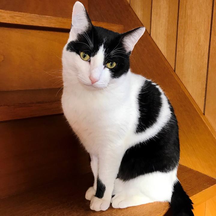 03ba66e0 4102 4dae b748 35d0509db9cd