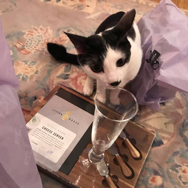 03bb0245 206e 47fc 82b6 679fd1dfa687