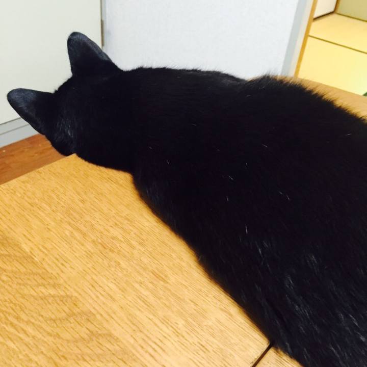 03bb9ee2 baef 4c34 9506 2c629abc4874