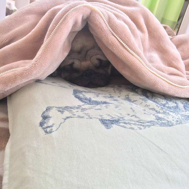 03bba47e 0b87 4864 98f5 dc5382f295f9