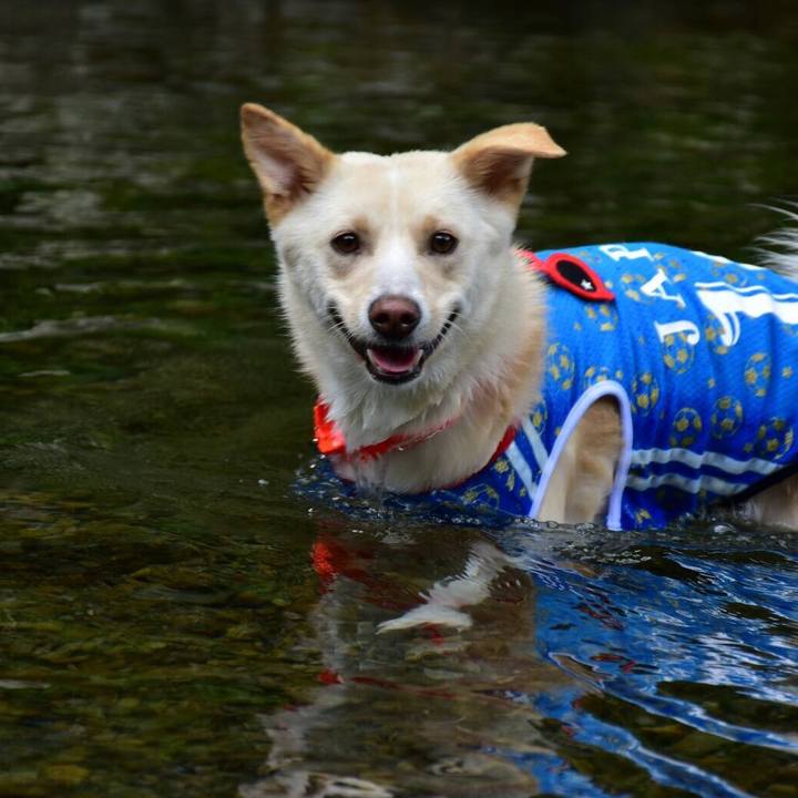 03bbcdd5 1666 46d2 8054 a3d5314b6a67