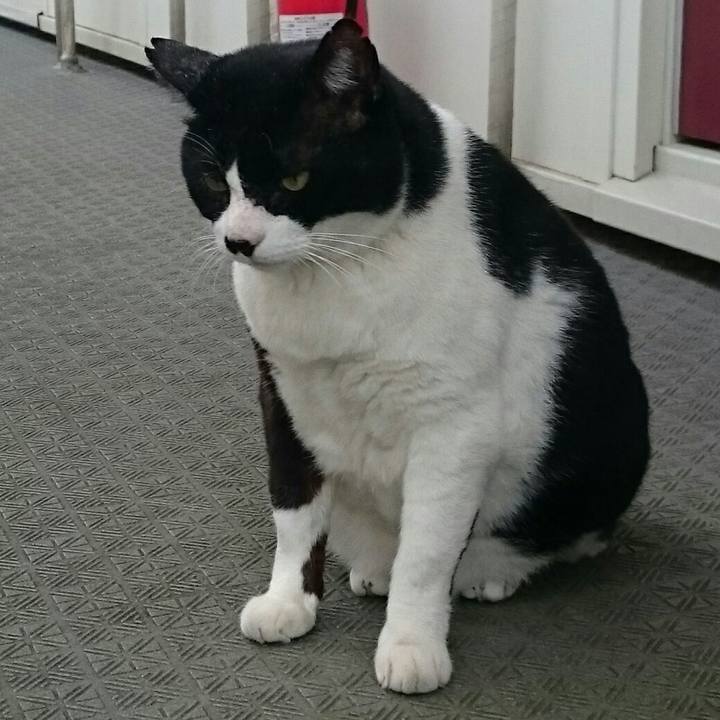 03bbddd4 75d6 4e3f 8f60 8157ac965070