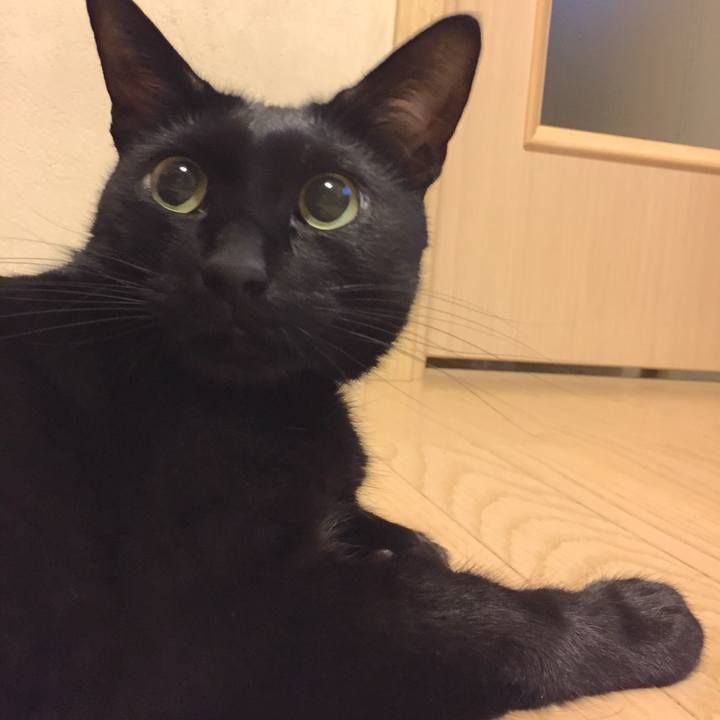 03bce767 4269 48cc 8886 ca9eddce7123