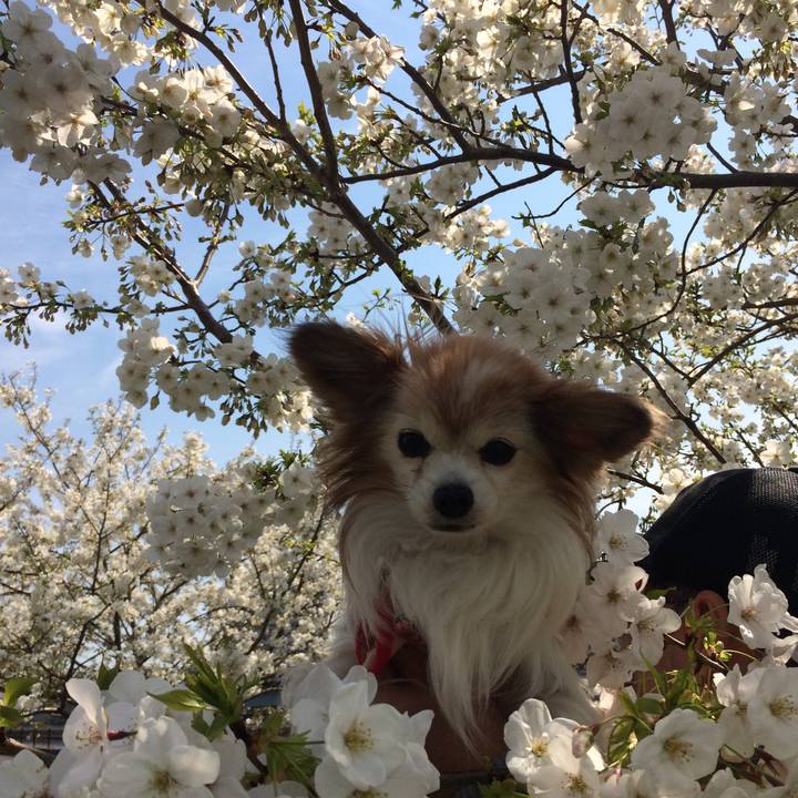 03bd76fb 5e42 4e62 87f2 7a1531c5e2ba