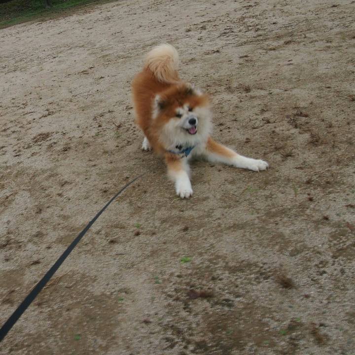 03bdc22c 43fa 4f0d 9a5b 84cd0335d610