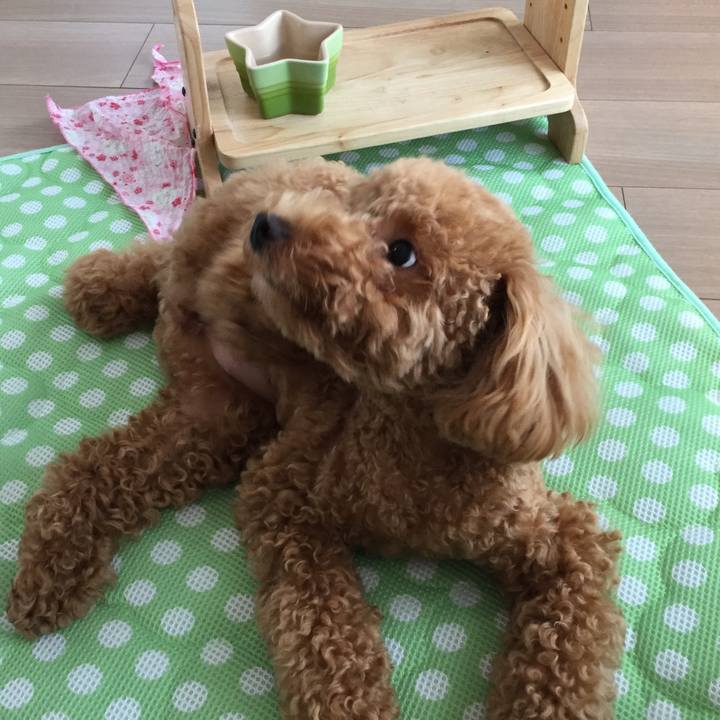 03bdede7 ae7a 4981 a348 fd0d0ff51429