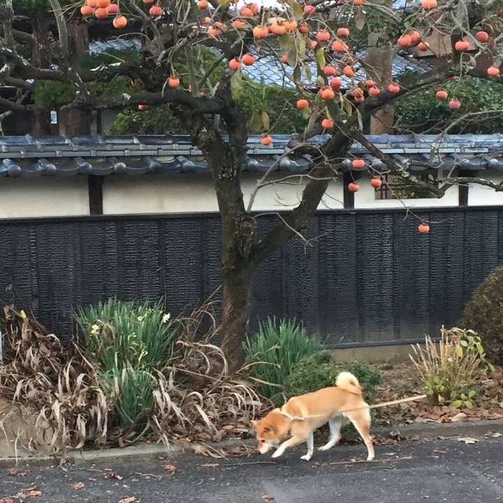 03bf7c3c 88de 4a14 84a3 aa22ffc40fb1