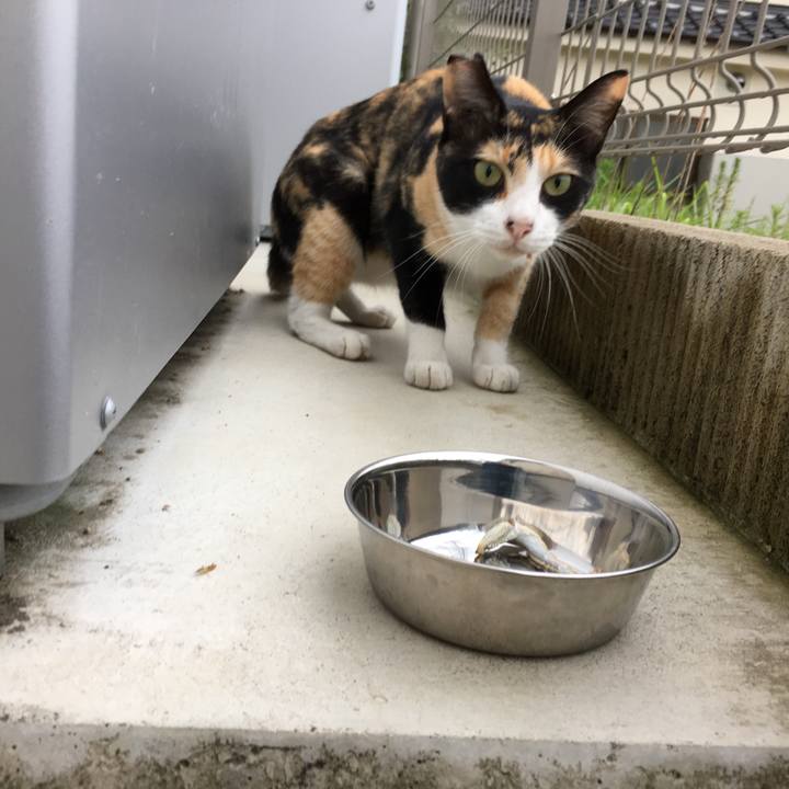 03bfb093 1def 4584 8120 3fb647b99281