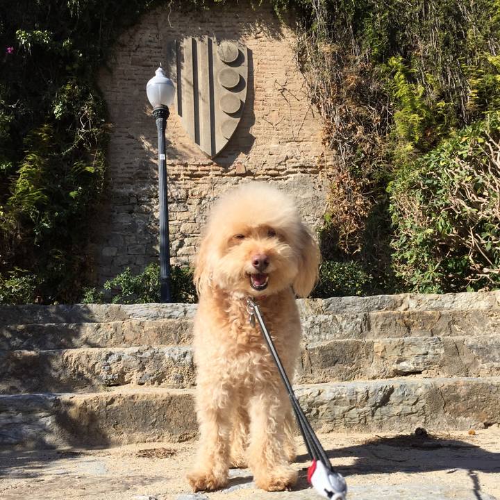 03bfe824 a824 450e 8098 1734be117c5a