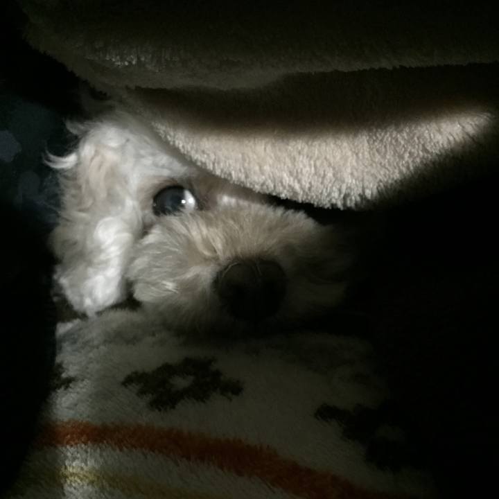 03c03c3a 9671 4ca0 b7da 498aae40d242