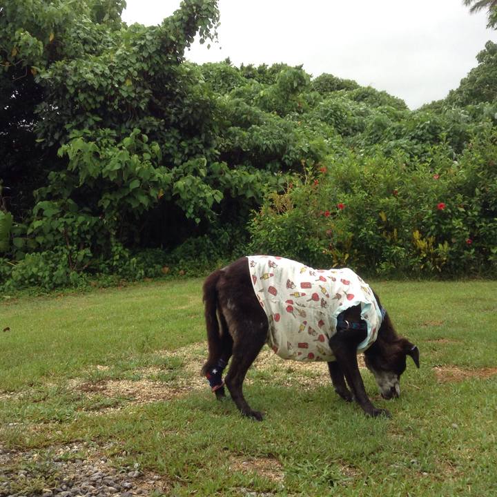 03c0e468 ca40 4b8c 86e4 ad88102e30b5