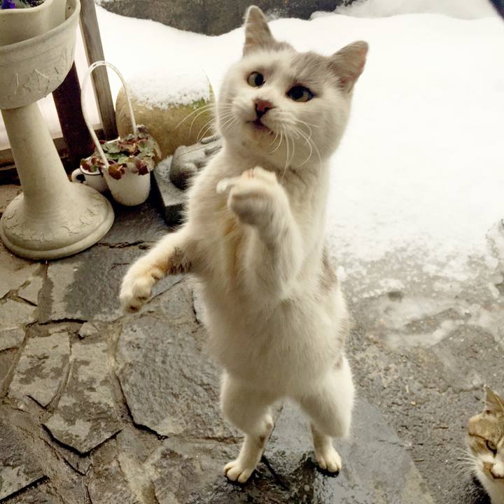 03c11d6f ce41 40c8 b66b bb96aa08676d