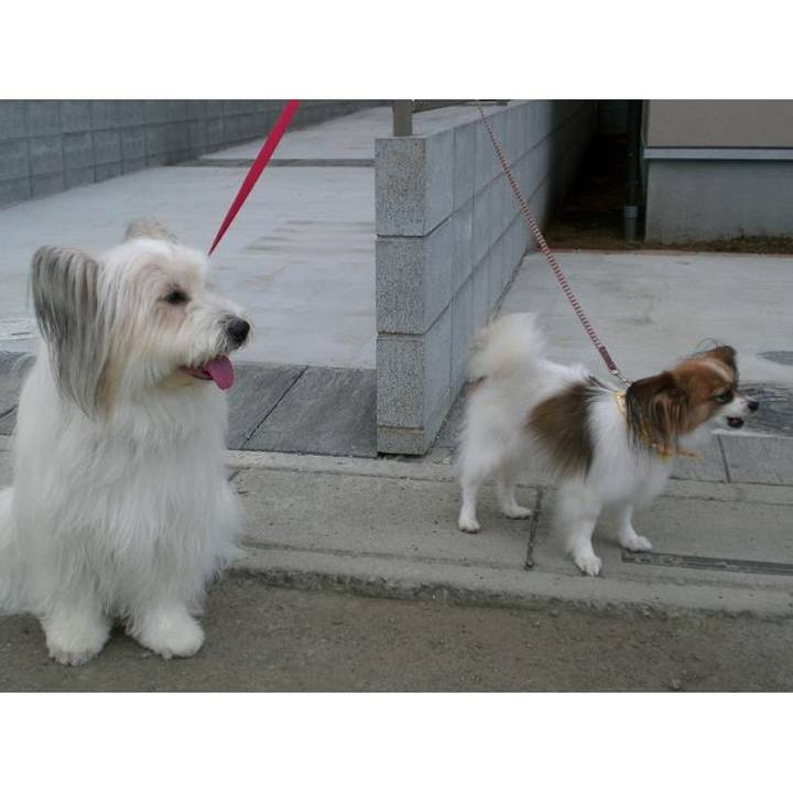 03c12c64 916b 4efa 84e9 f563bec57064