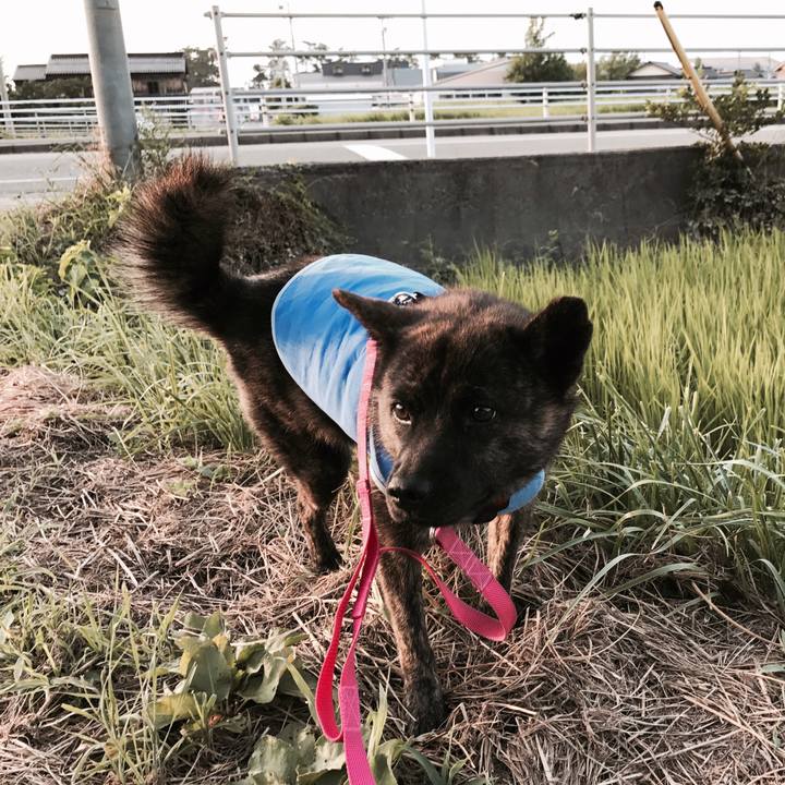 03c188a9 432d 4222 b4f5 ce93a5b14b02