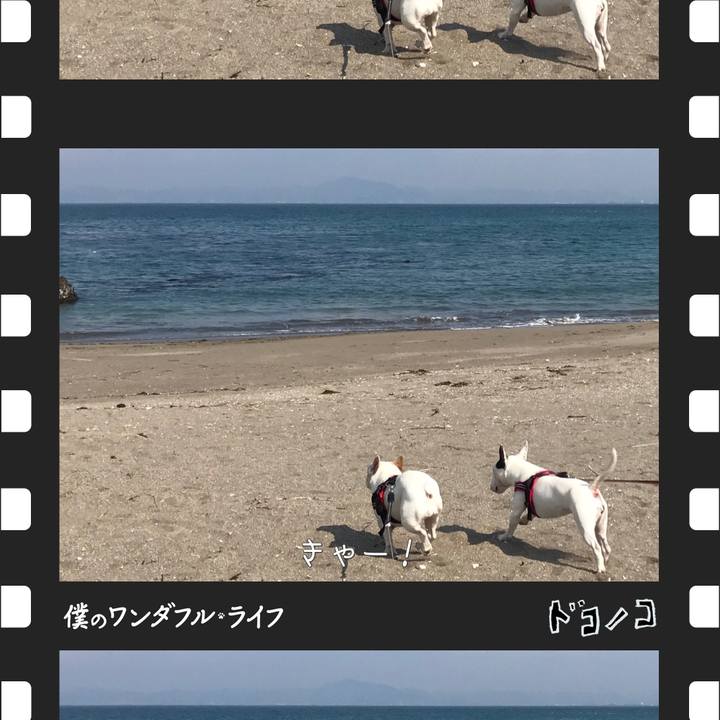 03c18957 a20b 4ff0 98b5 1fee042e99ee